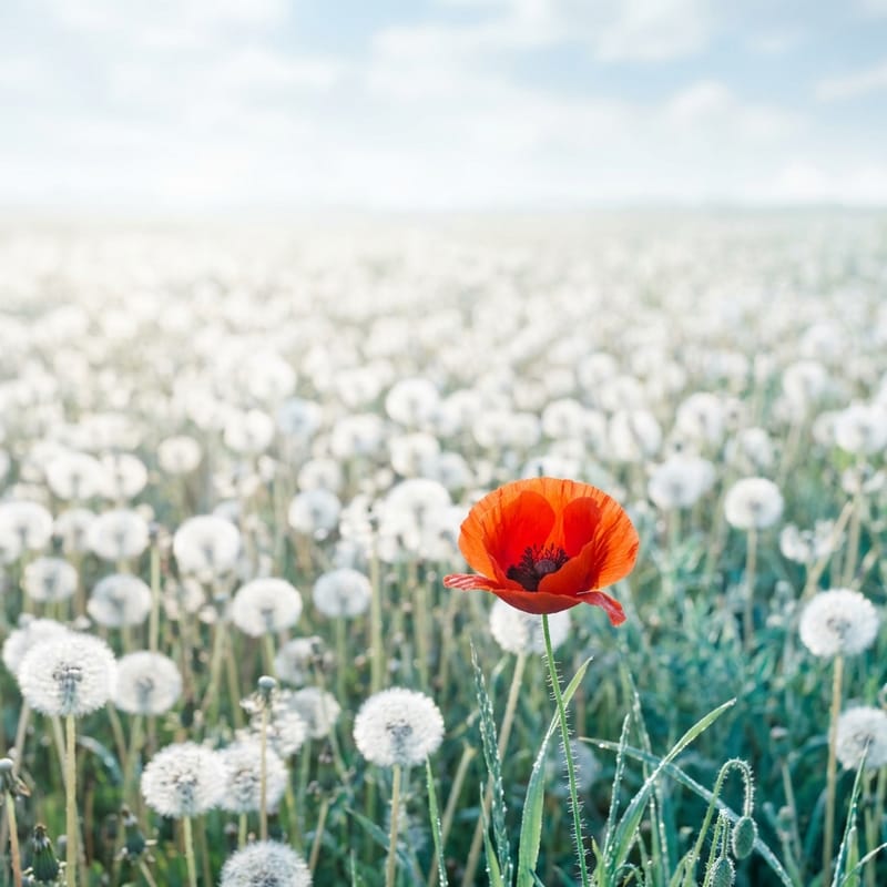 Attention Scarcity in the Age of AI-Generated Content