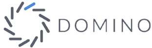 Domino Data Lab