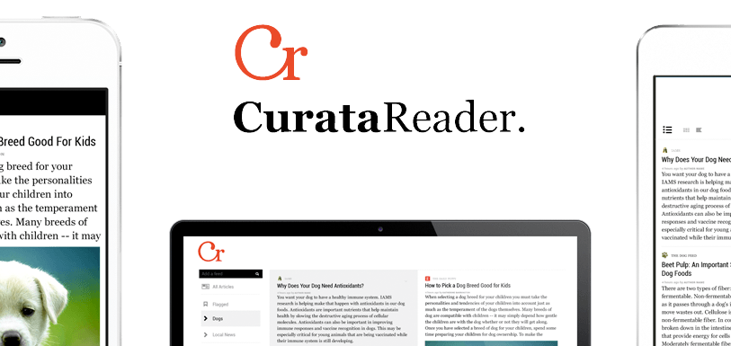 Curata Reader screenshot